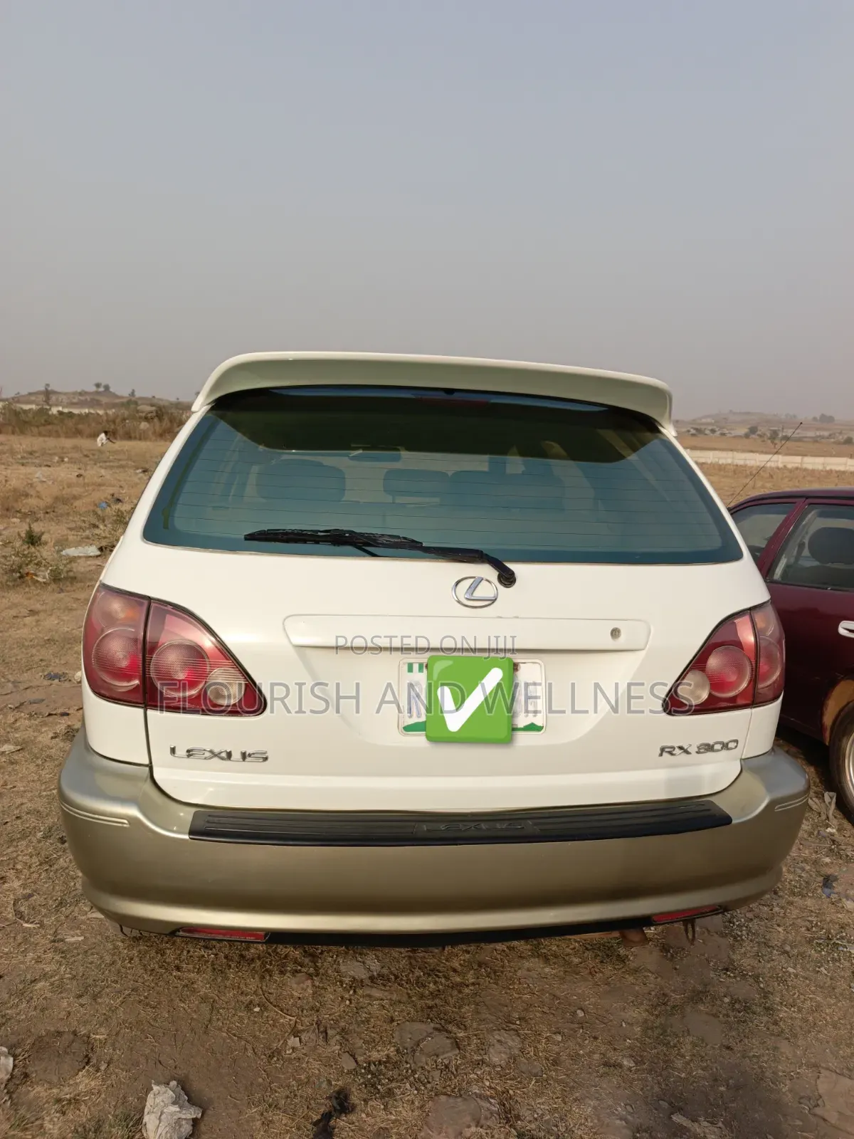 Lexus RX 2002 White