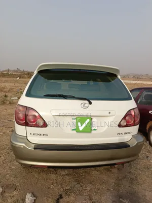 Lexus RX 2002 White