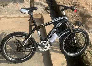 Great Vision MTB Bike for Kids and Adults at Affordable