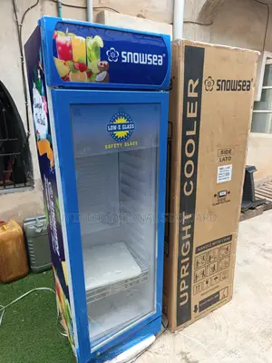 SNOWSEA LC 300L Refrigeration Appliance for Mini-Mart Businesses