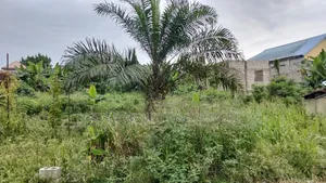 For Sale : 4 Plots on Eastwest Road Between Rumuokoro/ Obirikwere. Ph