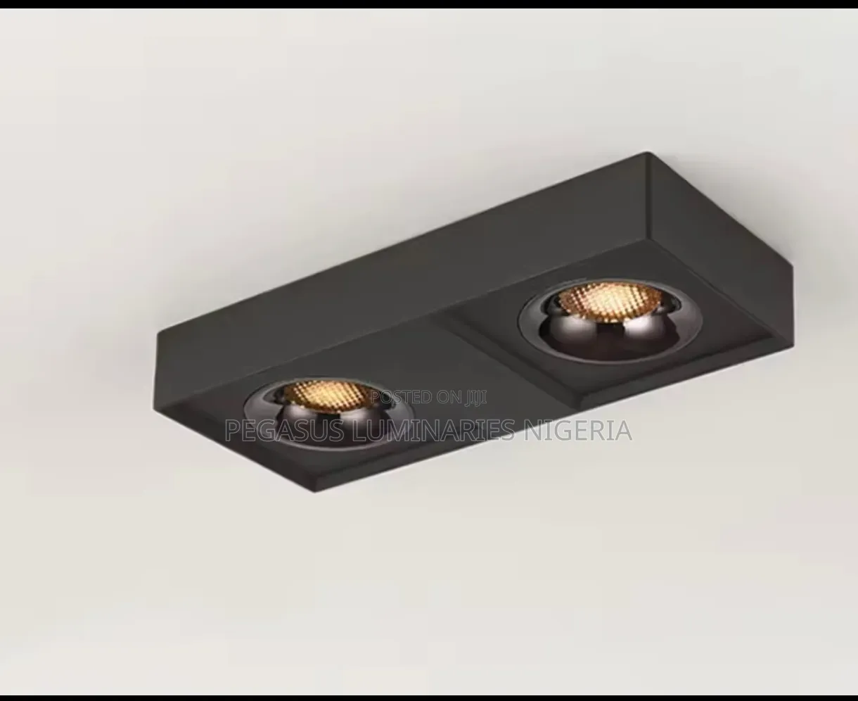Double Surface Spot Light