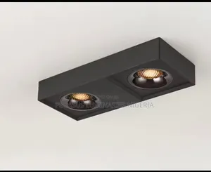 Double Surface Spot Light