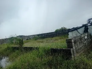 A Full Plot of Land