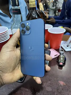 Apple iPhone 12 Pro Max 256 GB Blue
