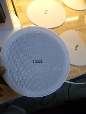 Boom 30w Passive Ceiling Speaker.