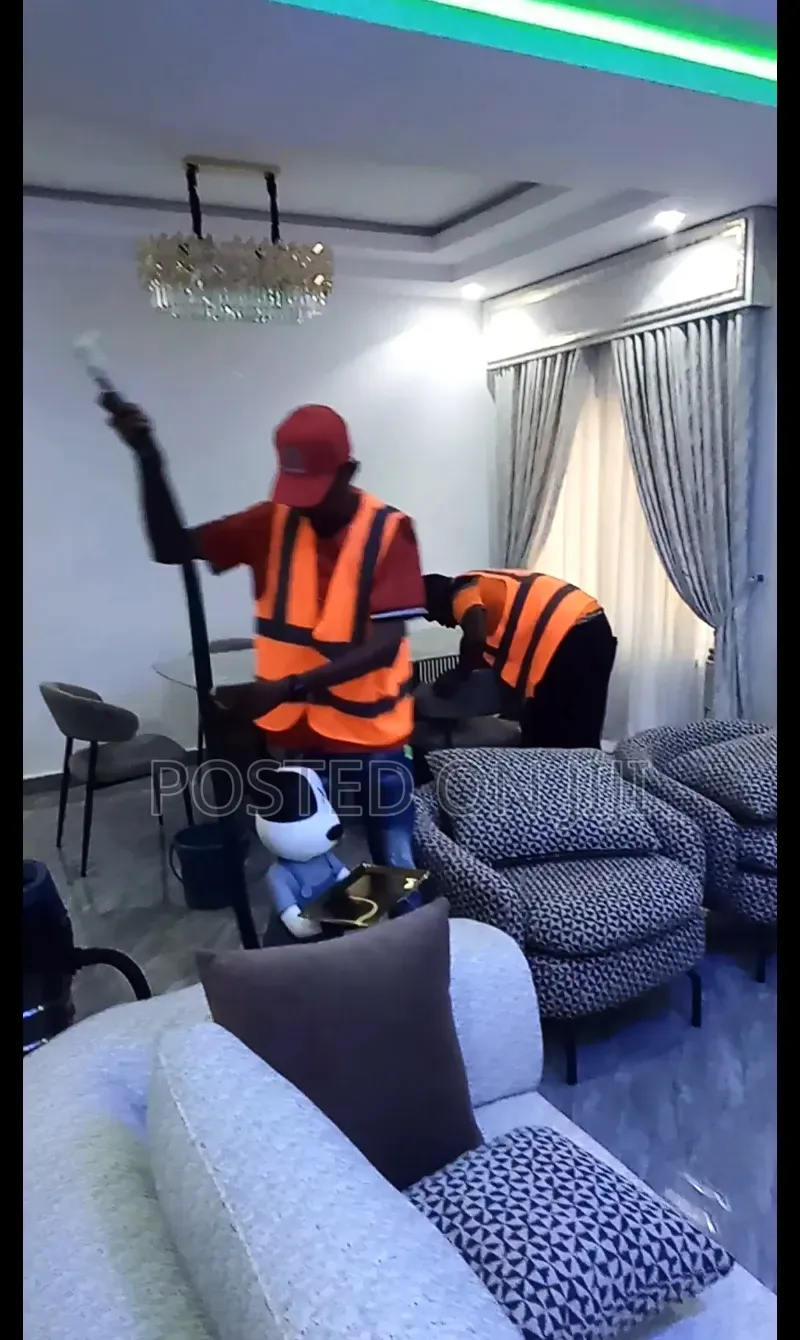 Couch Washing and Upholstery Care