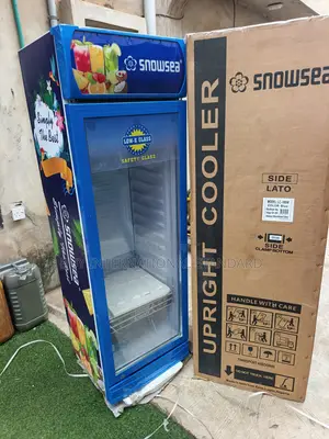 SNOWSEA LC 300L Refrigeration Equipment for Store Owners