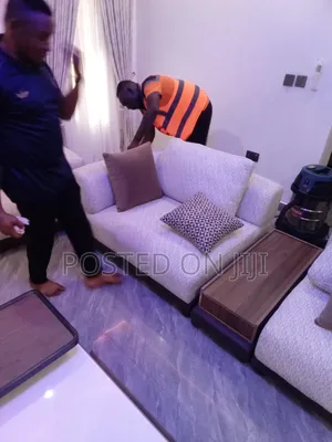Expert Sofa and Couch Deep Cleaning
