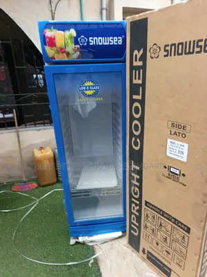 SNOWSEA LC 300L Beverage Storage Chiller for Retail Shops