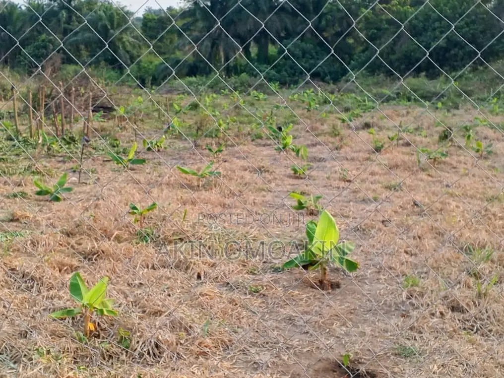 Farm Land in Ogun State