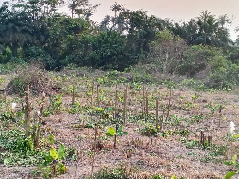 Farm Land in Ogun State