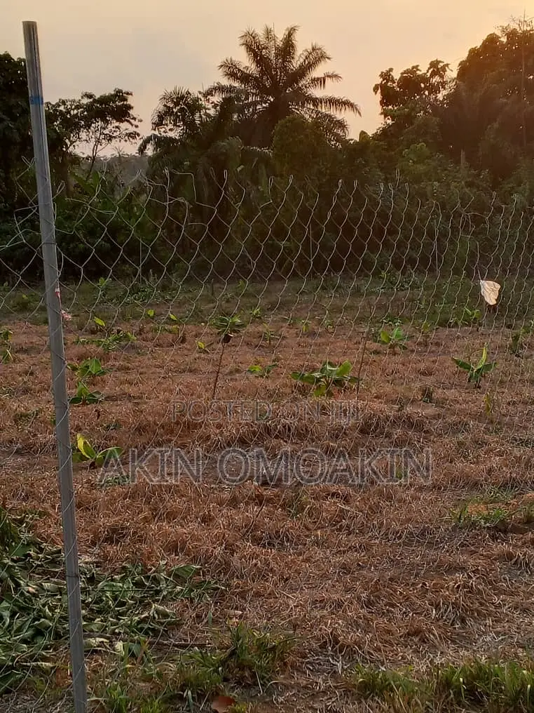 Farm Land in Ogun State