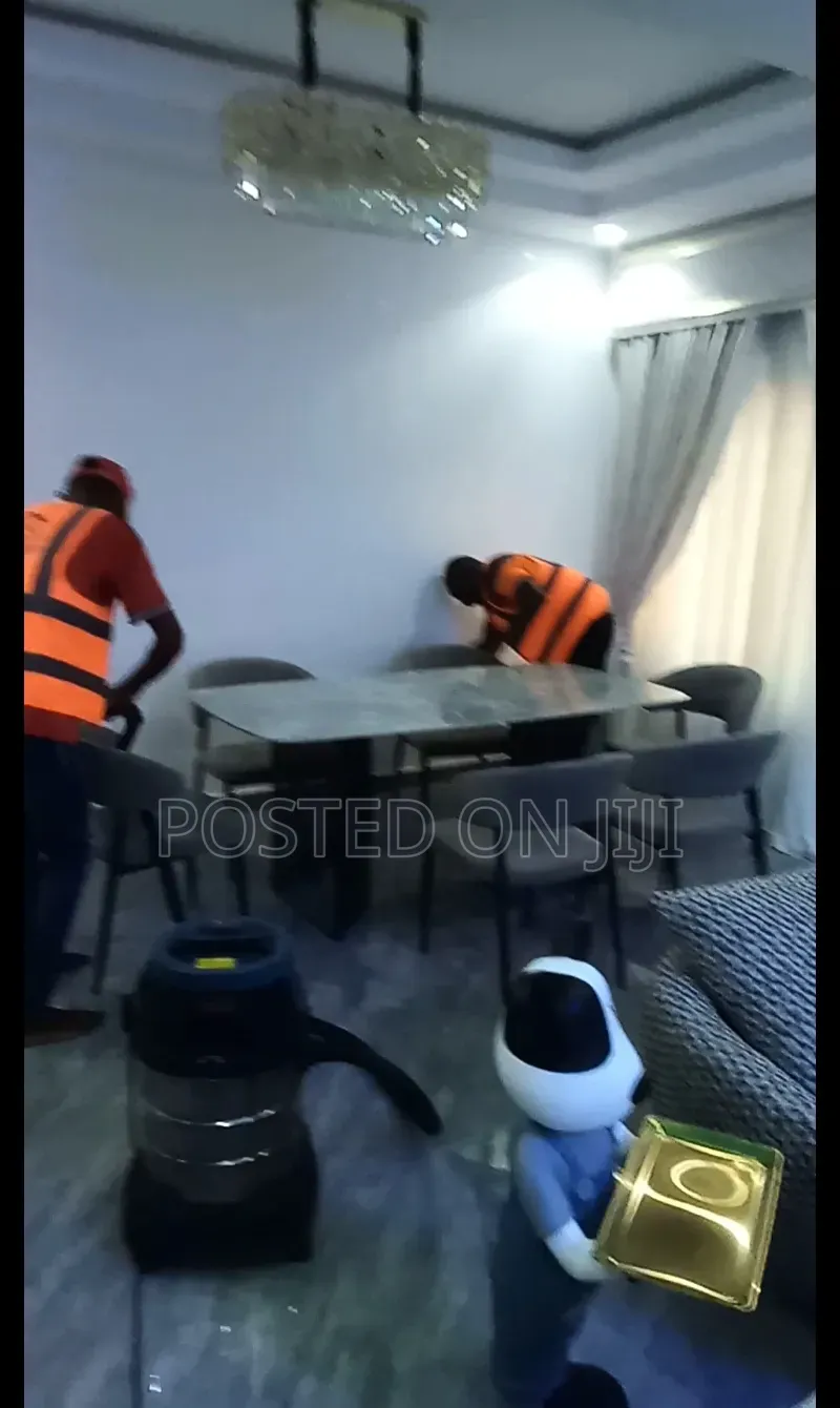 Sofa Stain Removal and Steam Cleaning
