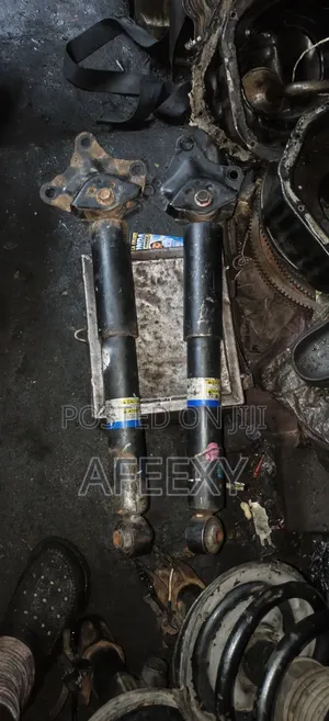 Back Shocks Lexus RX350 2010/2017, and Toyota Highlander 2014/2017