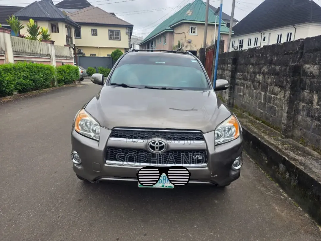 Toyota RAV4 2010 Gray