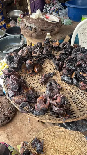 Smoked River Fish