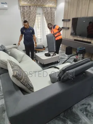 Professional Furniture Cleaning Service