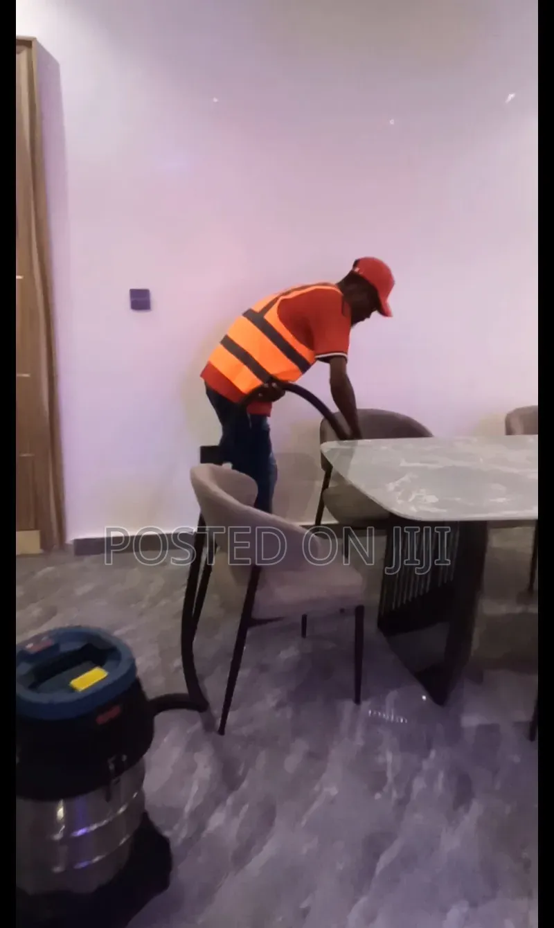 Professional Furniture Cleaning Service