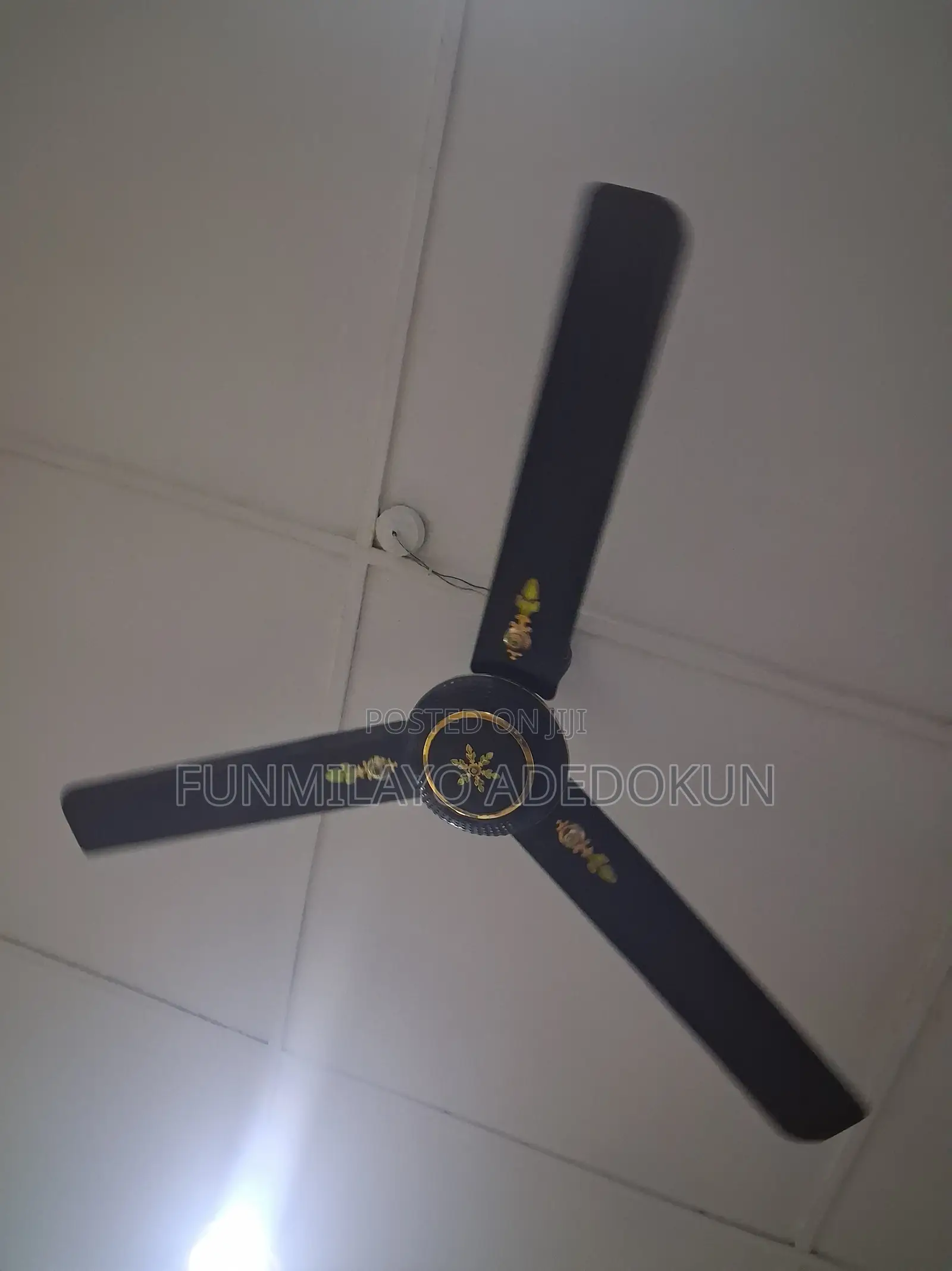 Ceiling Fans
