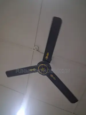 Ceiling Fans