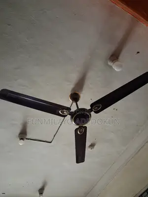 Ceiling Fans