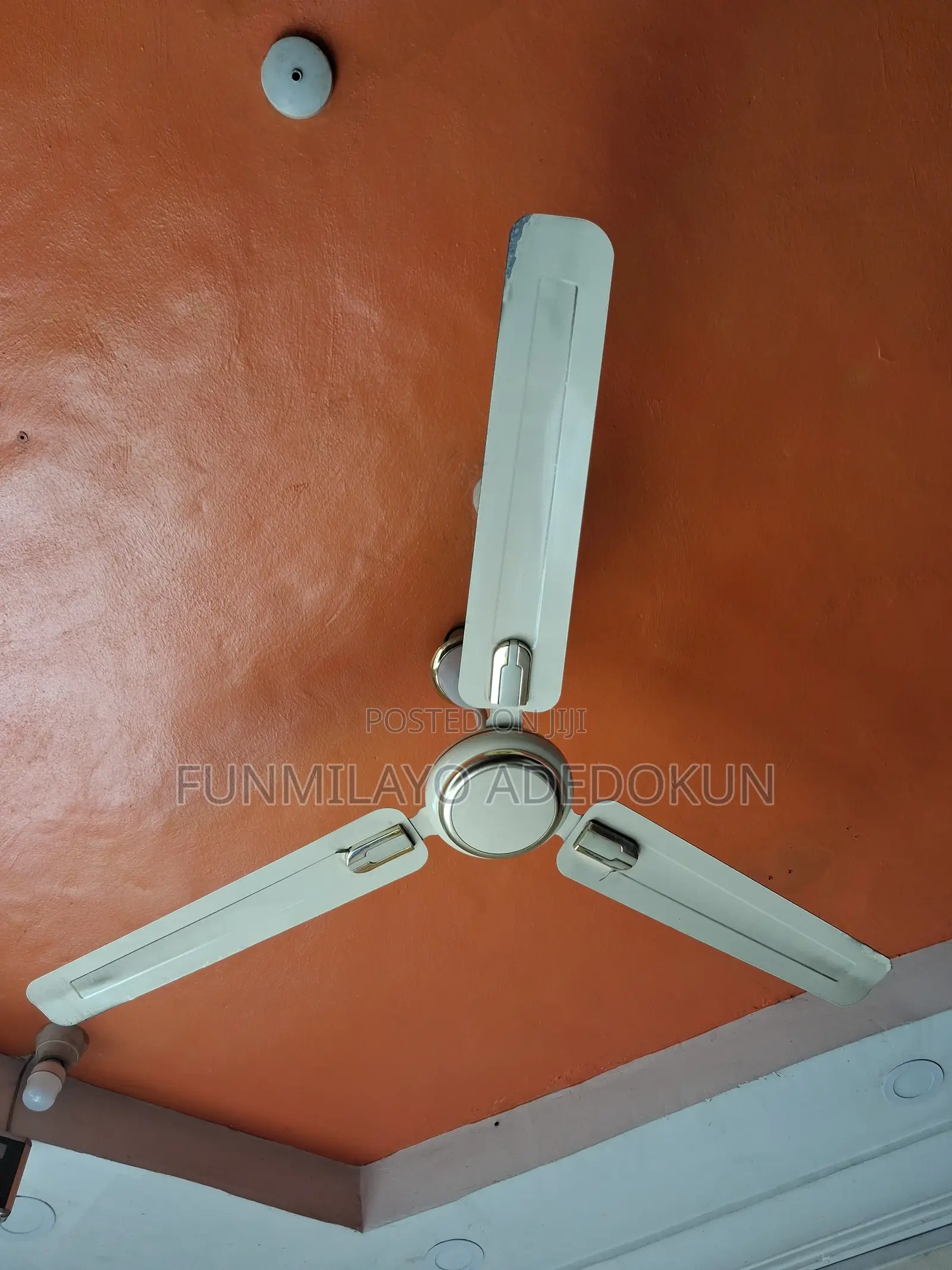 Ceiling Fans