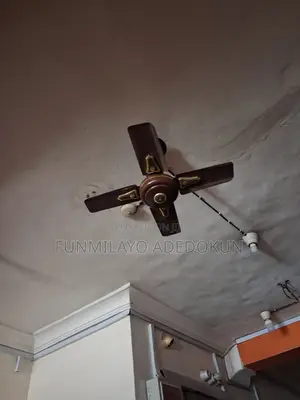 Ceiling Fans