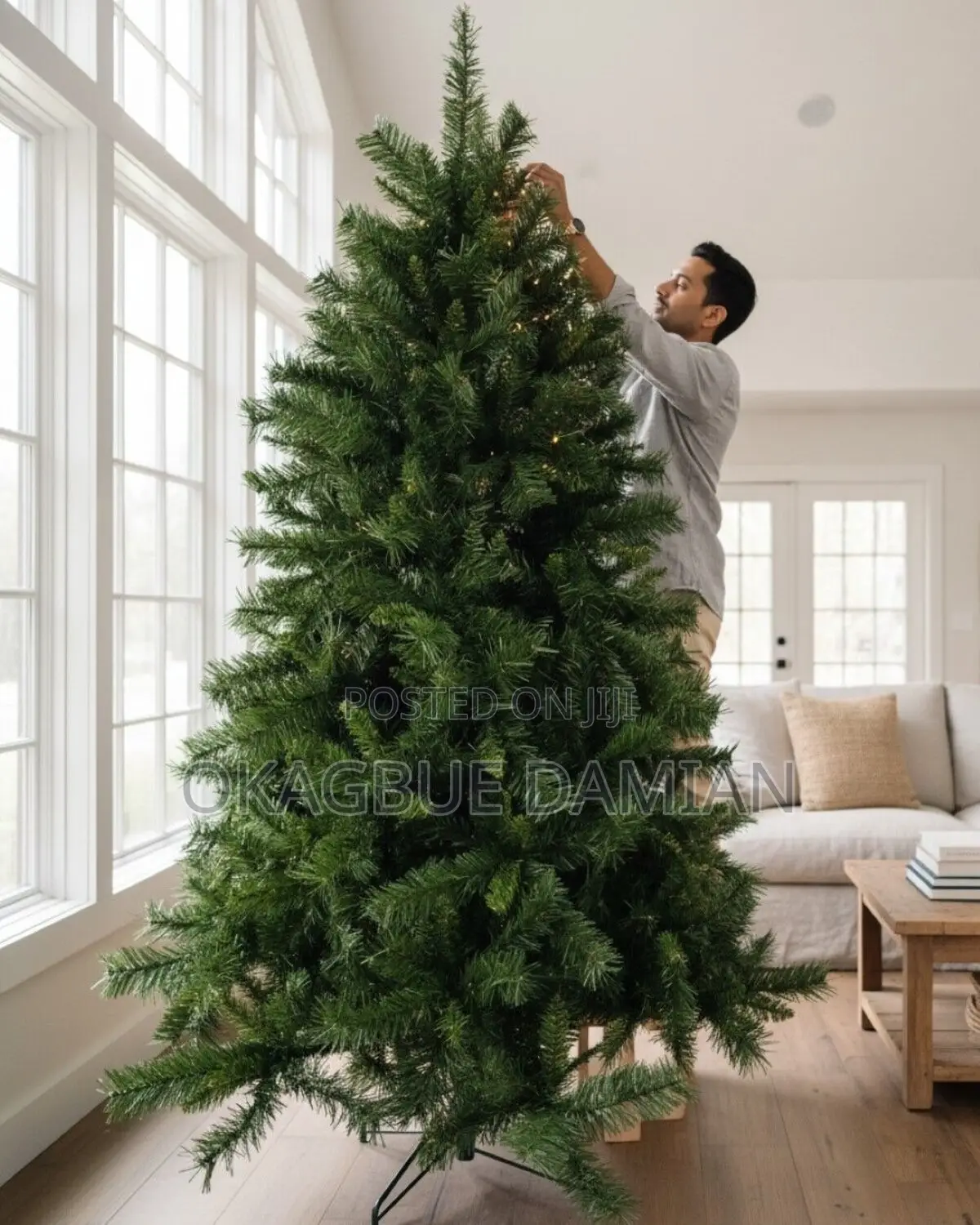 Christmas Trees