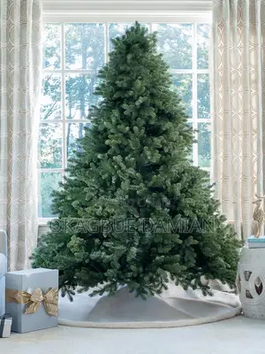 Christmas Trees