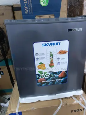 SKYRUN BCD-55A Mini Fridge for Modern Bedroom Convenience