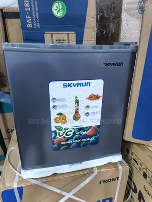 SKYRUN 55L Bedroom Refrigerator BCD-55A for Personal Use