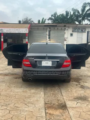 Mercedes-Benz C250 2013 Gray