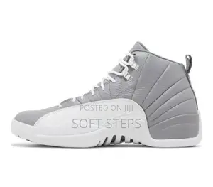 Air Jordan 12 Retro Stealth