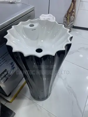 Black and White Free Standing Washing Hand Basin