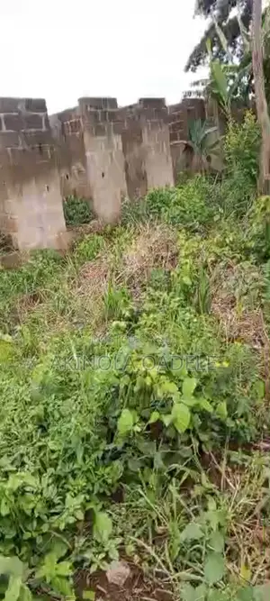 1 Plot of Land With 6 Shops on Linted Level