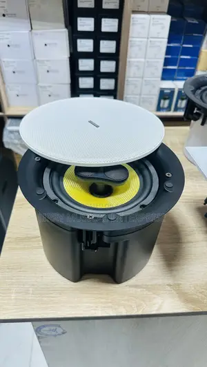 100w Lucky Tone Heavy Ceiling/Pop Speakers