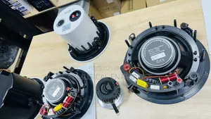 120w Ceiling Speakers With Woofer and Twitter