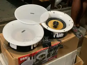 Dart Wi-Fi and Bluetooth Ceiling Speakers