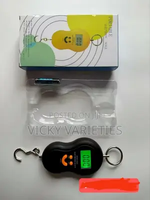 Portable Luggage Scale 50kg