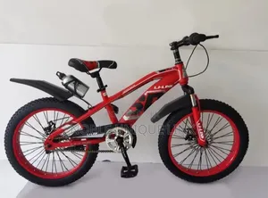 Fat Tire Li Link Kids Bicycle 7-15 Years