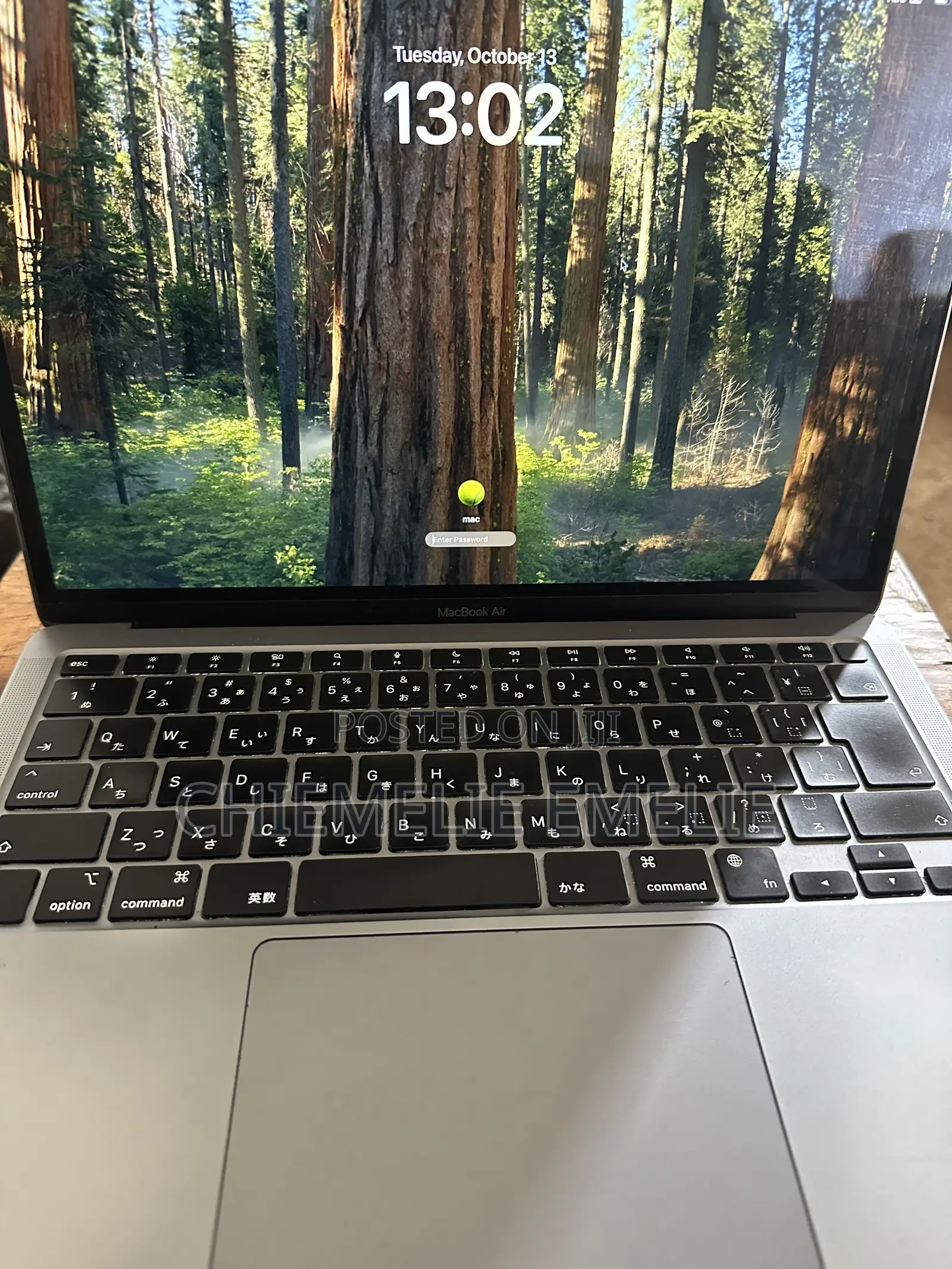 Laptop Apple MacBook Air 2020 M1 8GB Apple M1 Pro SSD 256GB
