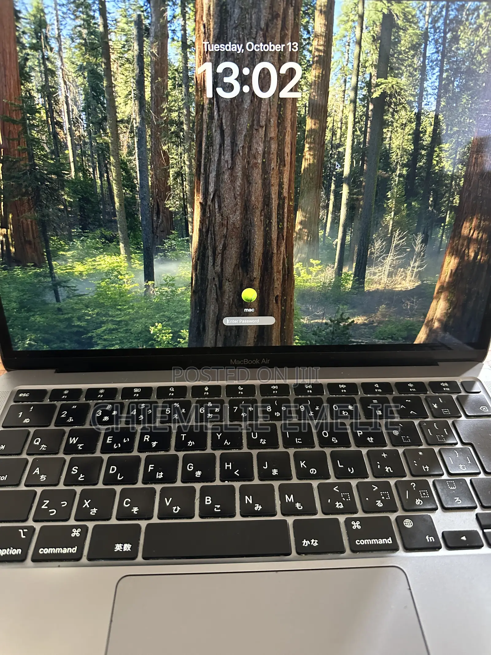 Laptop Apple MacBook Air 2020 M1 8GB Apple M1 Pro SSD 256GB