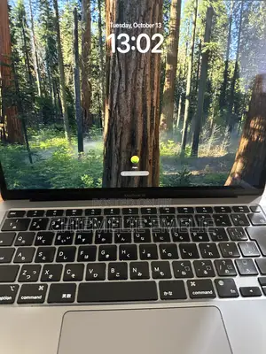 Laptop Apple MacBook Air 2020 M1 8GB Apple M1 Pro SSD 256GB