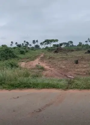 30Plots of Mixed-Use Development Land for Sale in Oshimili North,Asaba