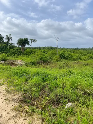 50acres of Land for Sale