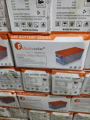 Felicity Gel Battery 12v