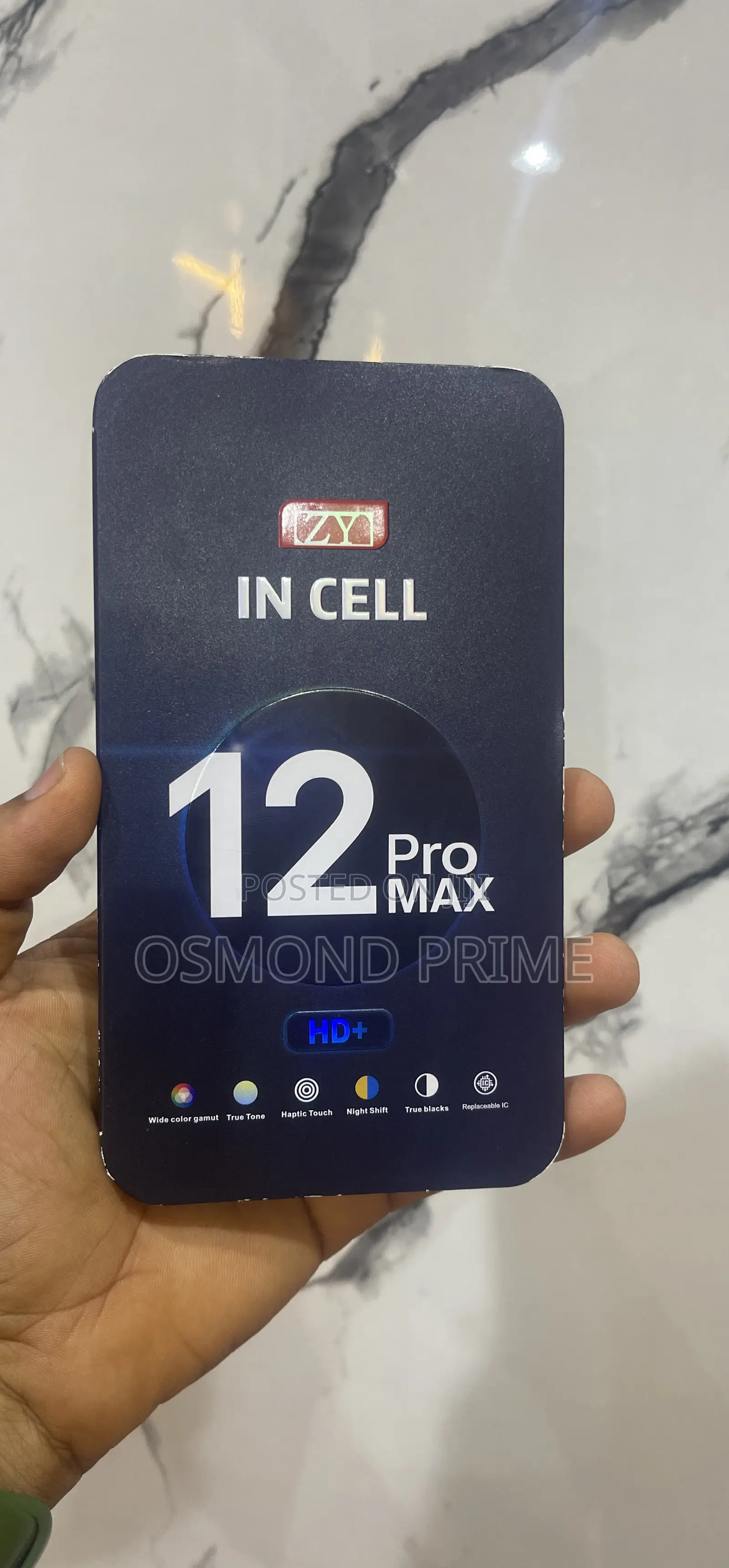 iPhone 12 Pro Max Screen