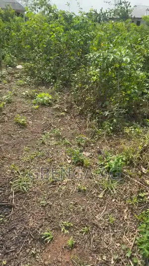 A Plot of Land for Sale at Ilaro Owode Yewa Ogun State