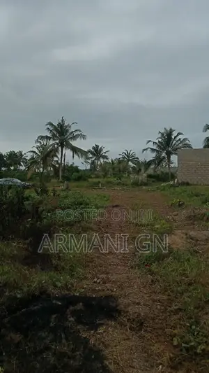 Half Plot for Sale at Crown Estate Ogba-Ayo/Ijoko